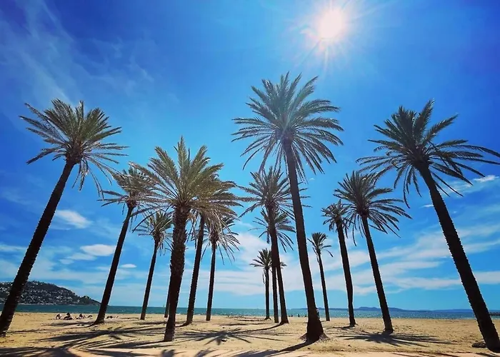 Costa 2 5 Canyelles - Immo Barneda